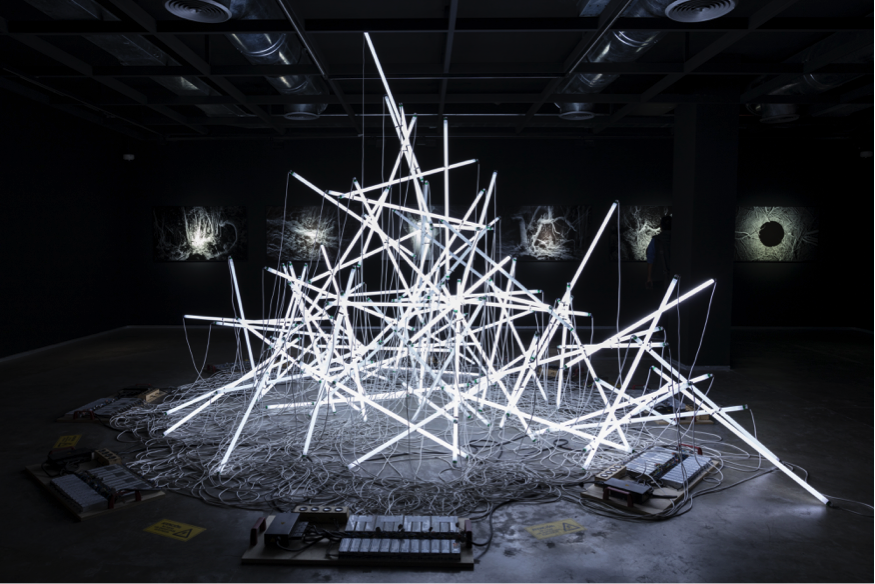 MIMA - Felix Luque - Bois Mort - 2014